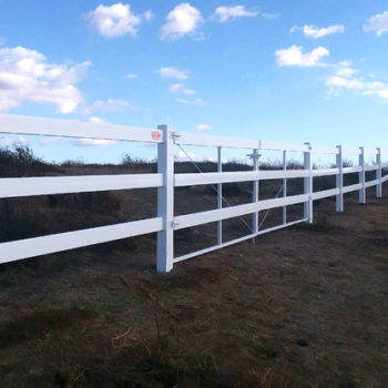 Live Stock Fence